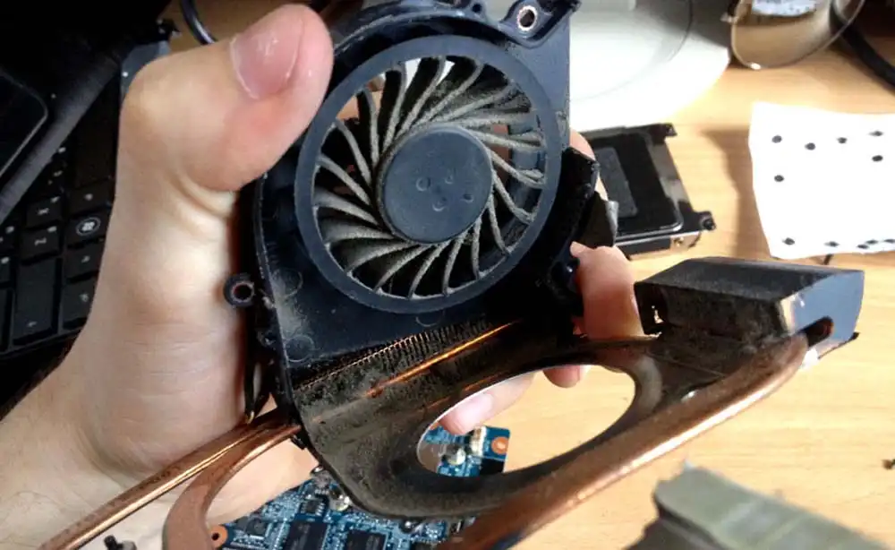 Чистка ноутбука HP от пыли в Прокопьевске | Замена термопасты